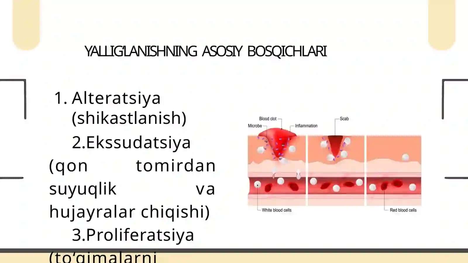 YALLIG‘LANISHJARAYONIDA ORGANIZM DAGIGANO‘ZGARISHLAR 3