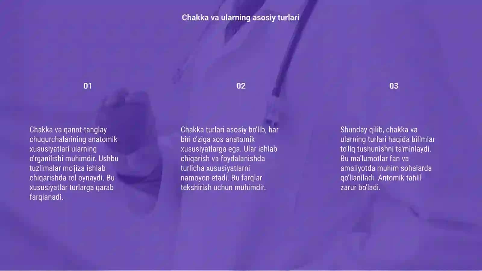 Chakka va qanot-tanglay chuqurchalarining anatomik xususiyatlari 3
