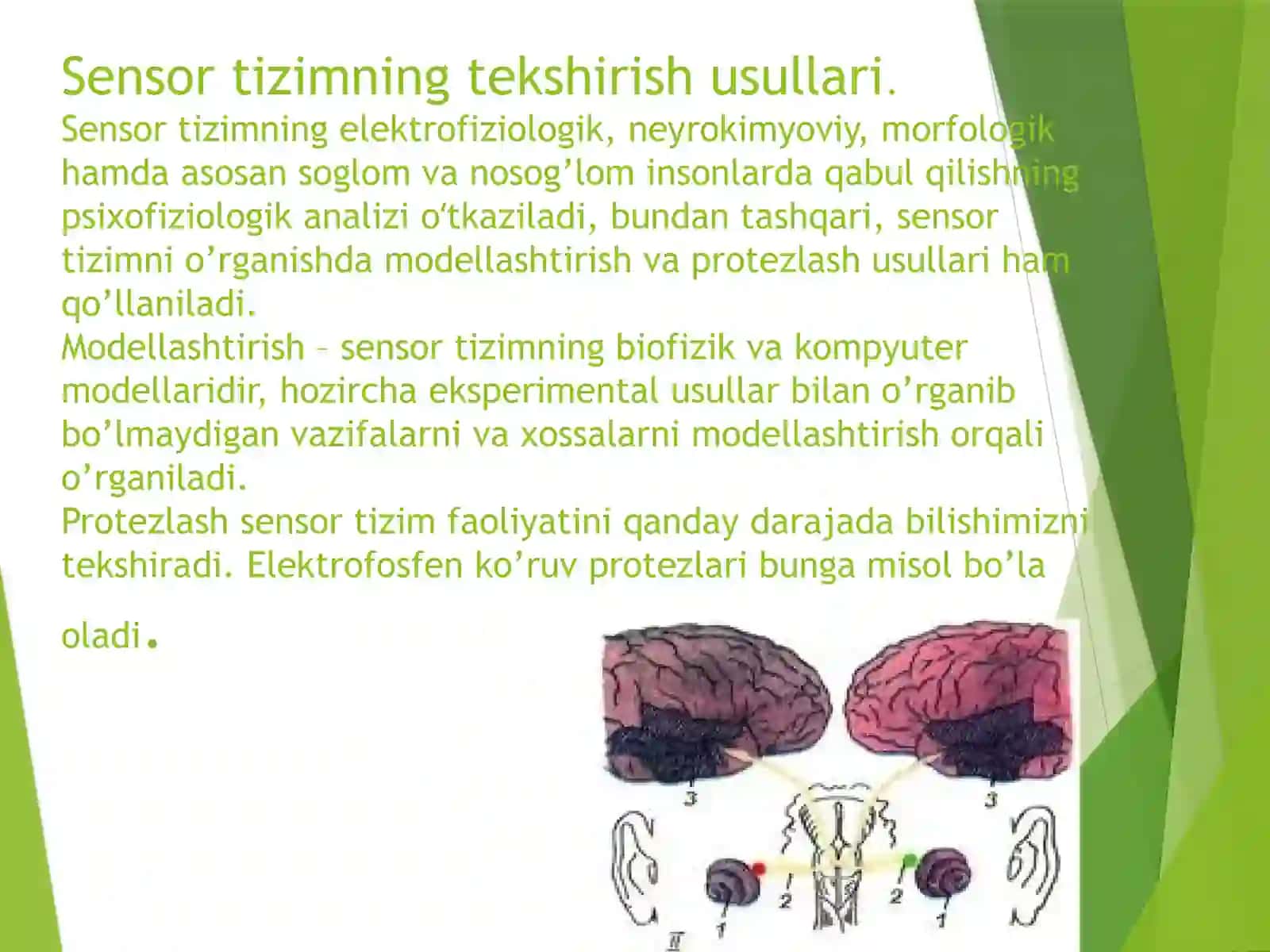 Sensortizim 3