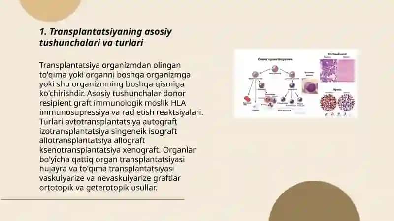 Transplantatsiya, regeneratsiya, gomeostazni biologik qonuniyatlari 3