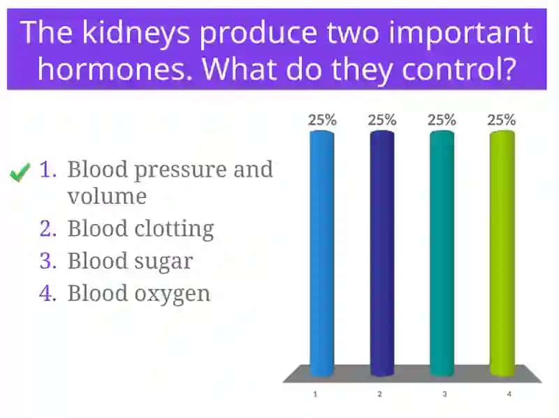 Urinary System 3