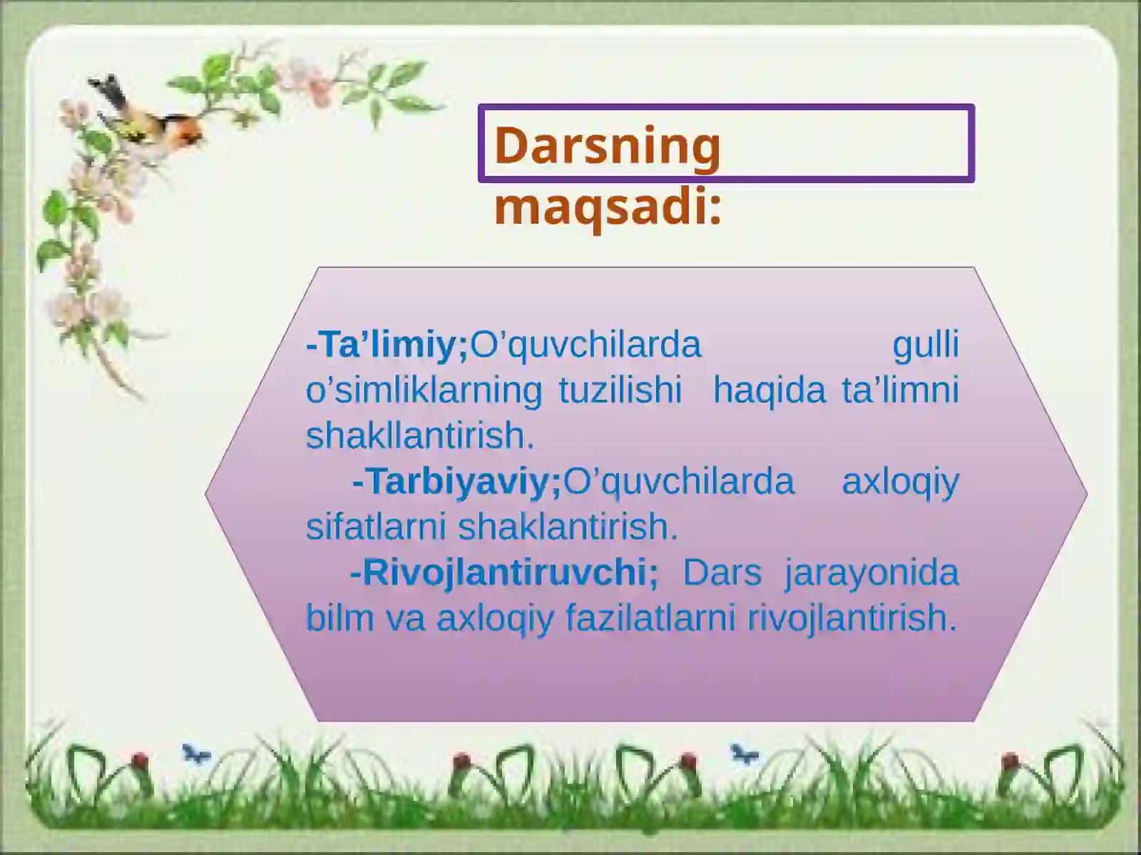 Nargisdoshlar, bug‘doydoshlar oilalari turkum va turlari tahlili 3