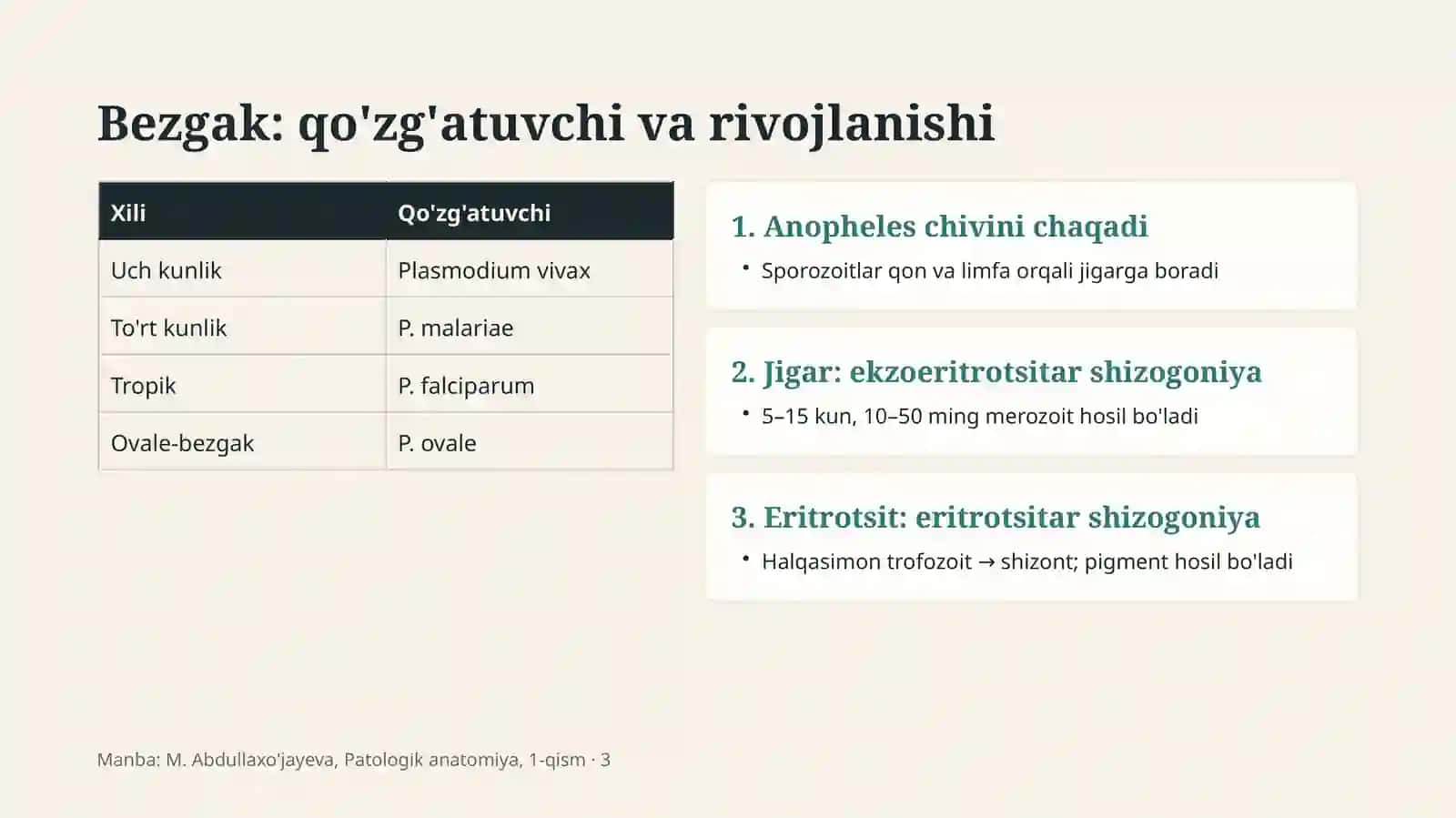 PATOLOGIK ANATOMIYA 3