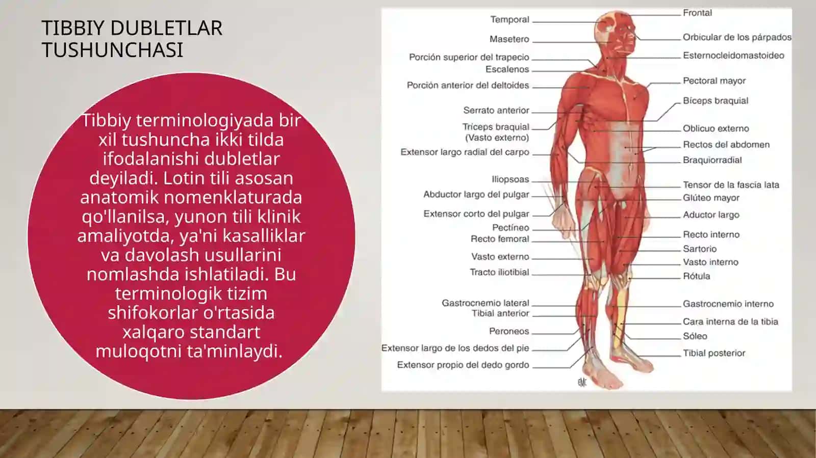 KLINIK TERMINOLOGIYA ASOSLARI 3
