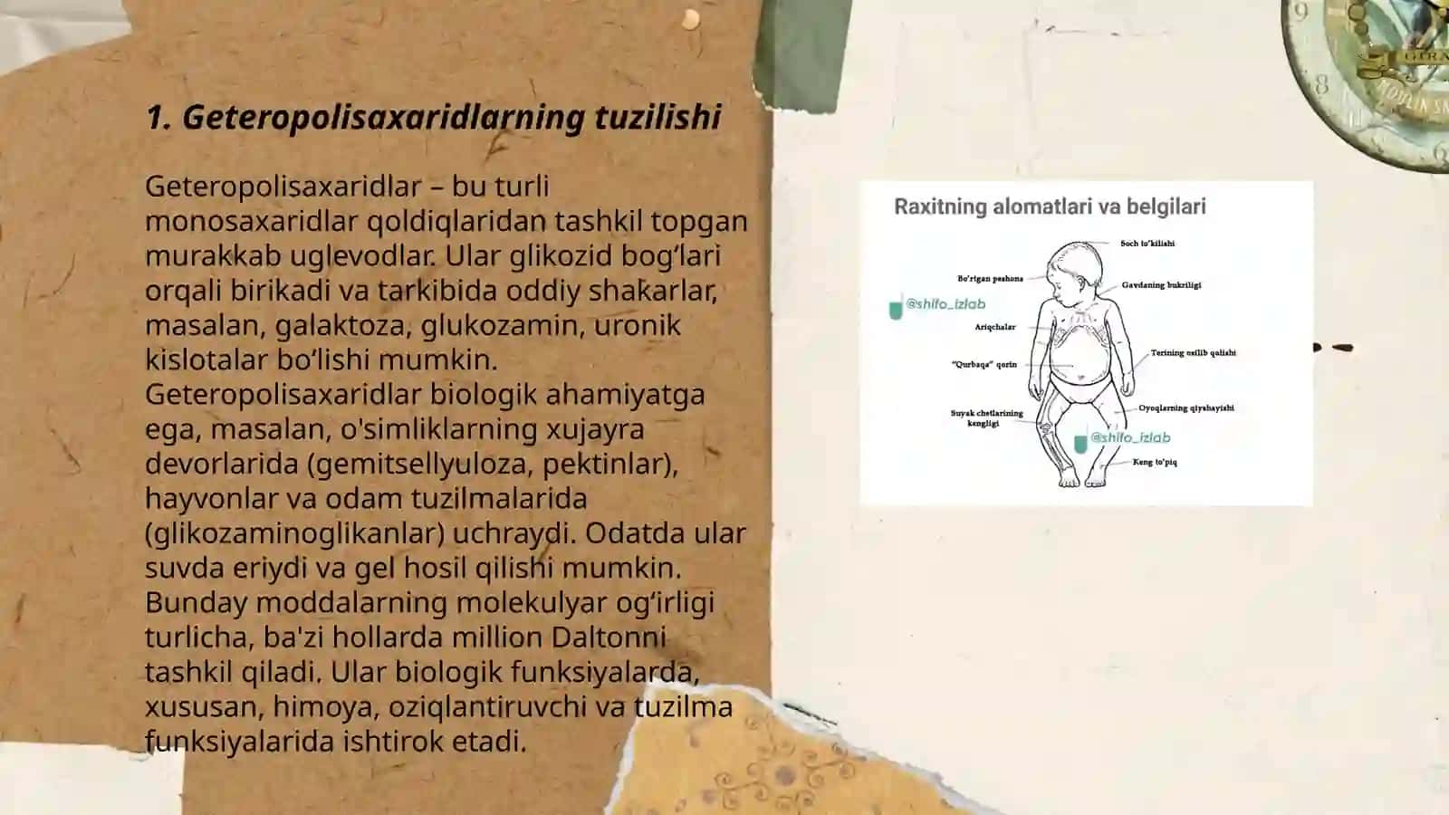 Geteropolisaxaridlarni ontogenez va kasalliklarda òzgarishi 3