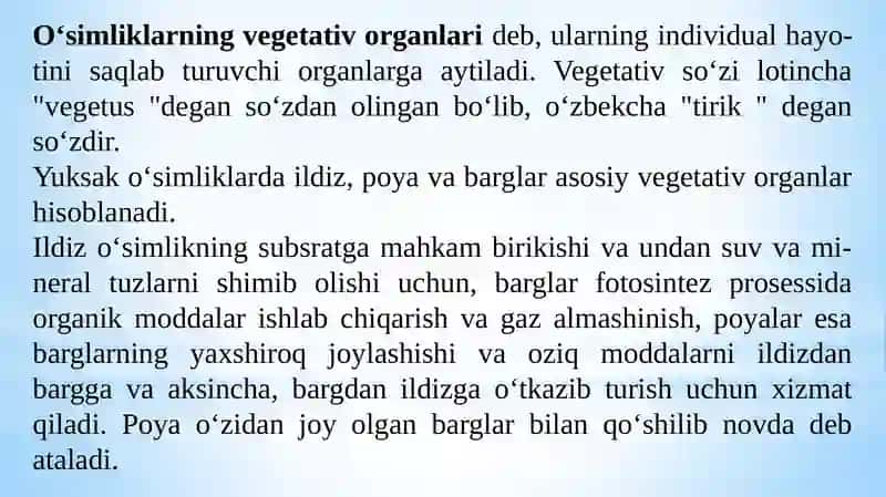 O`simliklarning vegetativ organlari.Ildizning tuzilishi 3