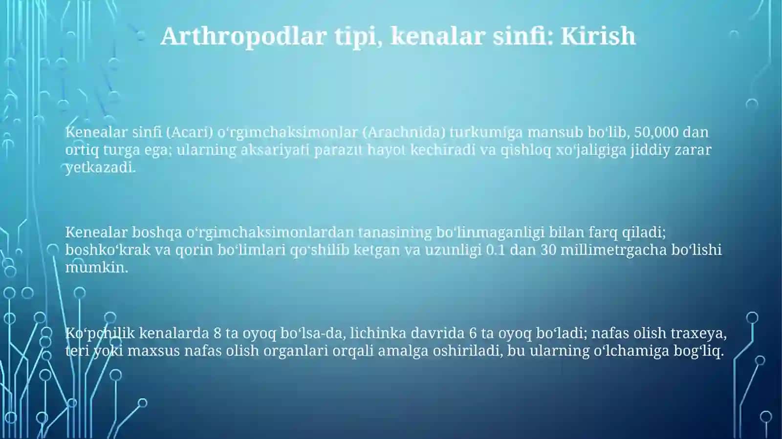 Boʻgʻimoyoqlilar tipi.Kanalar turkumi 3