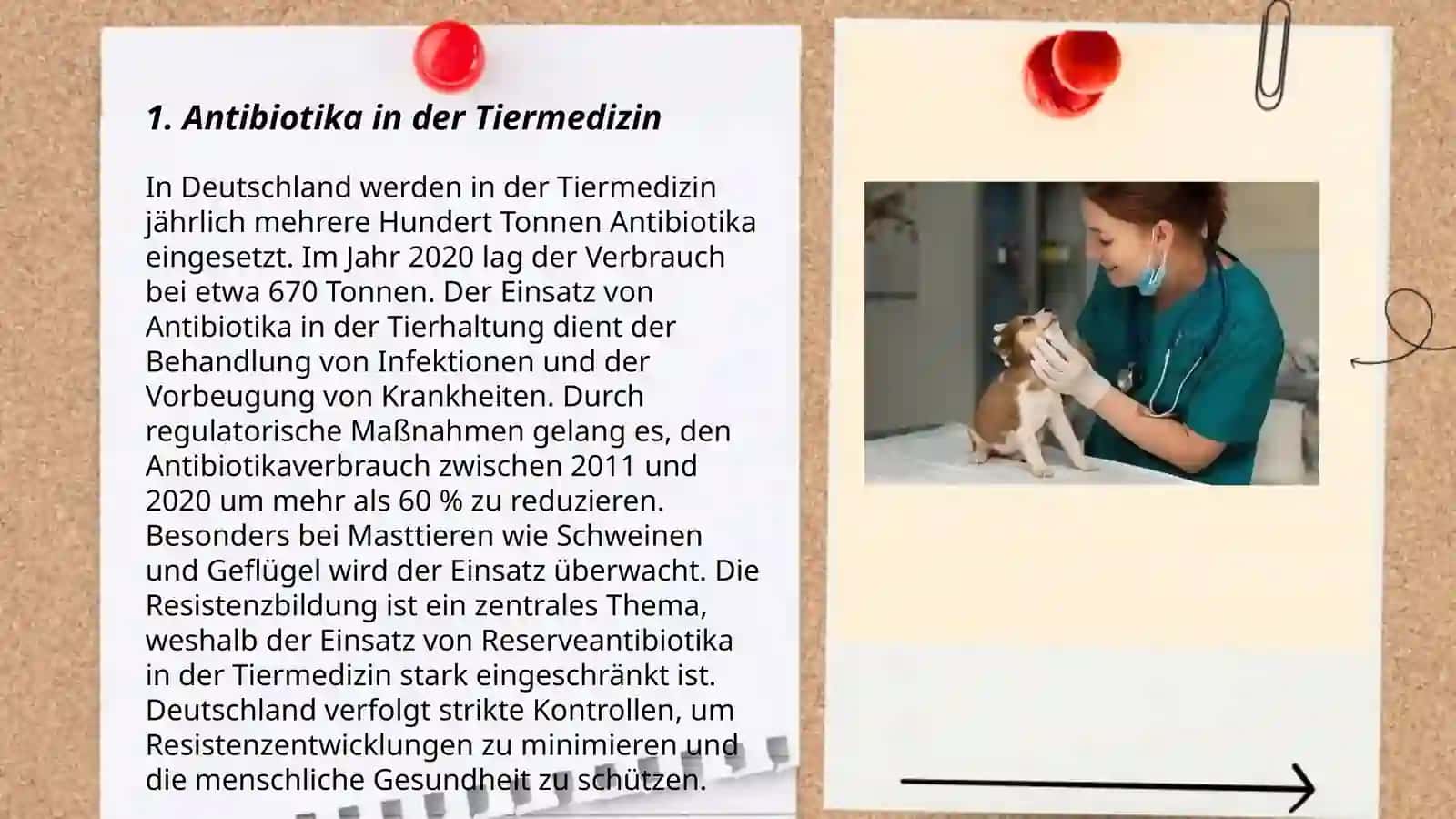 Veterinärarzneienarten 3