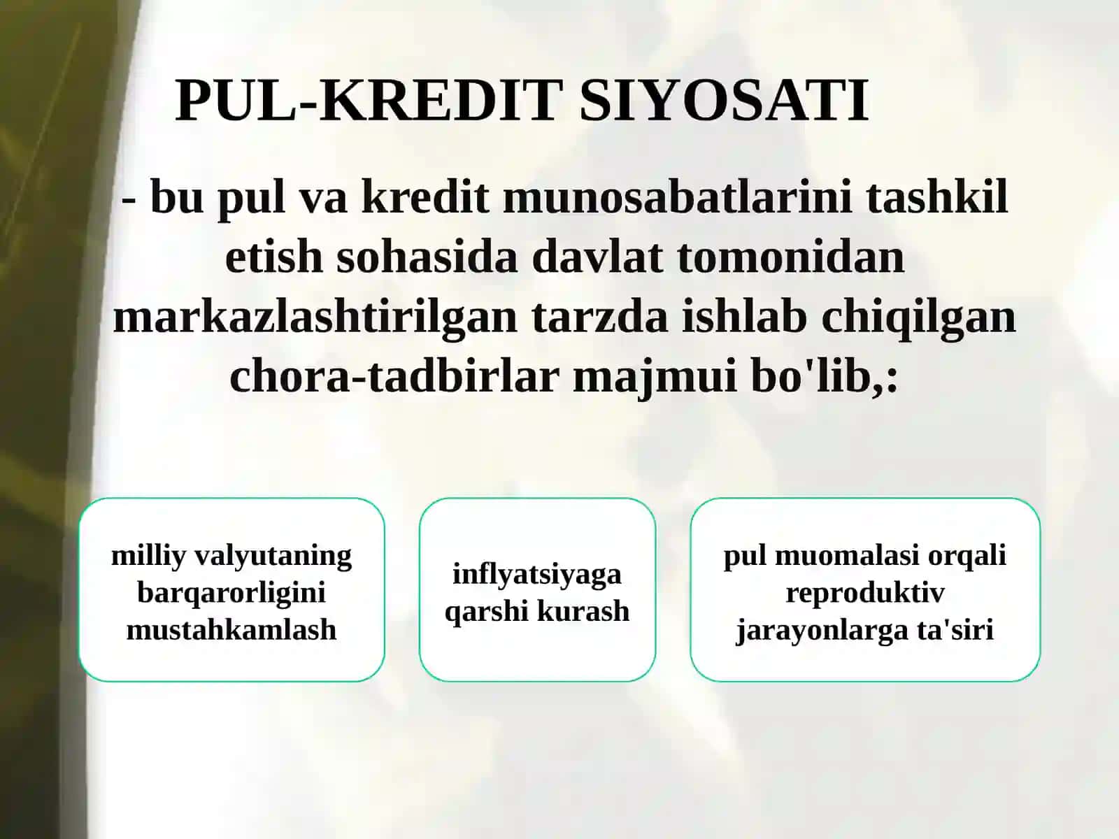 Pul-kreditsiyosati 3