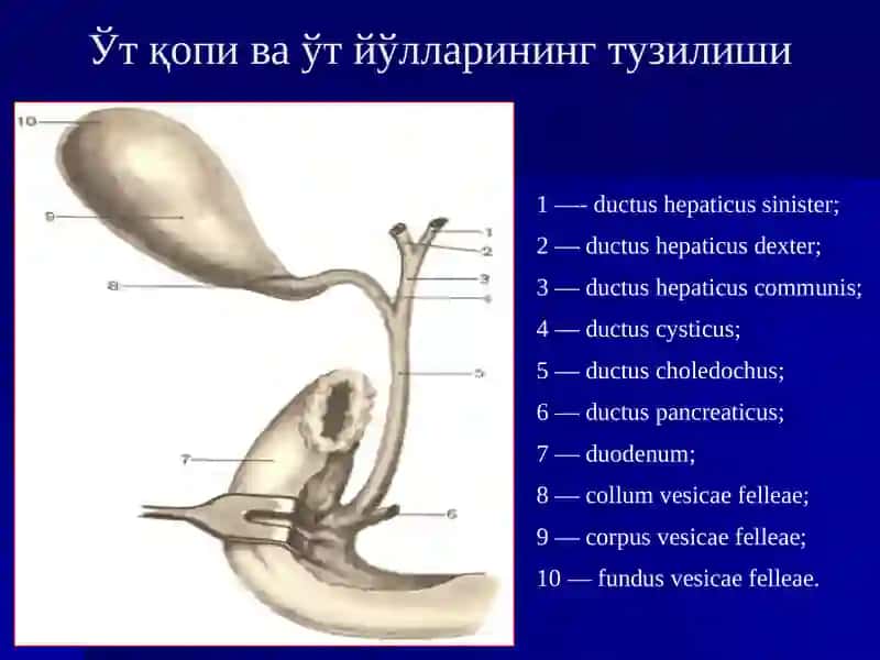 ЎТКИР ХОЛЕЦИСТИТ 3