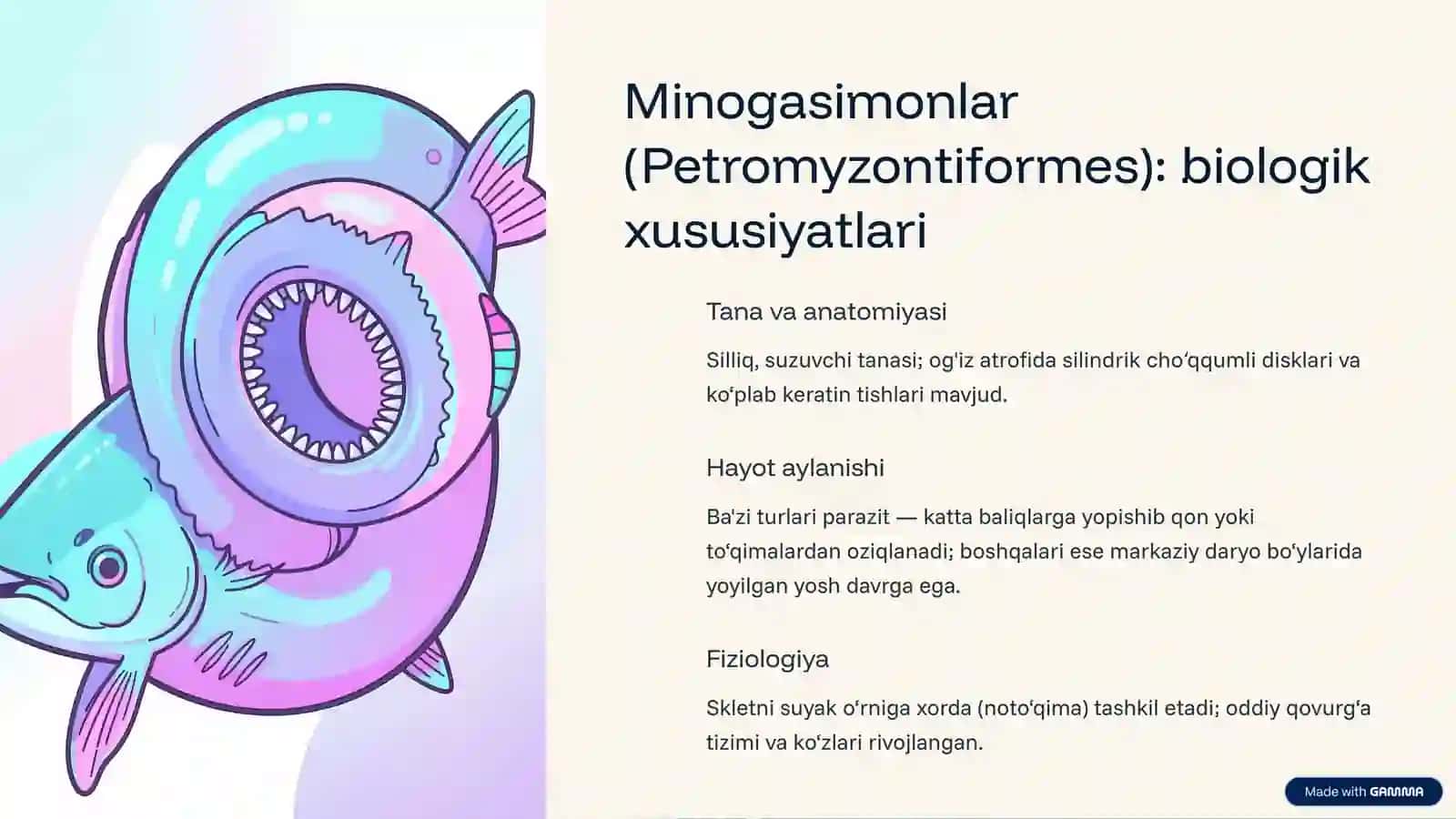Minogasimonlar (Petromyzontiformes) va Miksinaasimonlar (Myxiniformes) 3