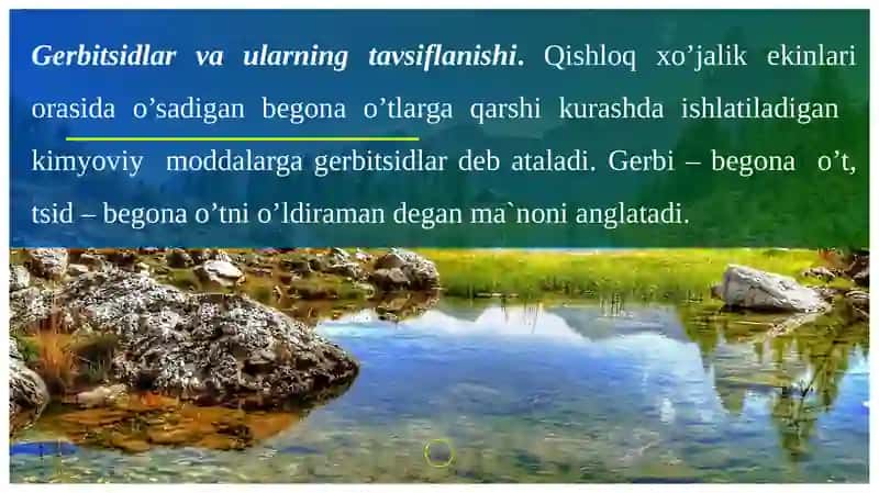 Gerbitsidlar 3