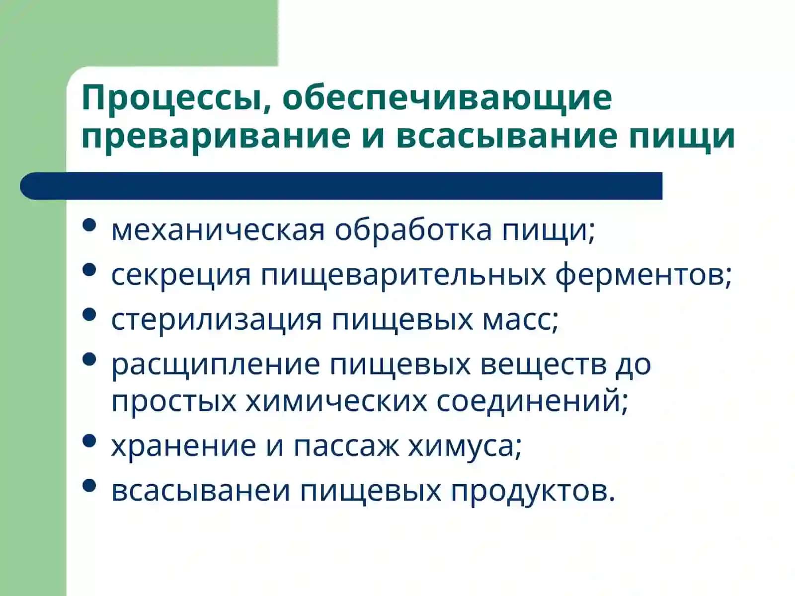 Патофизиология системы пищеварения 3
