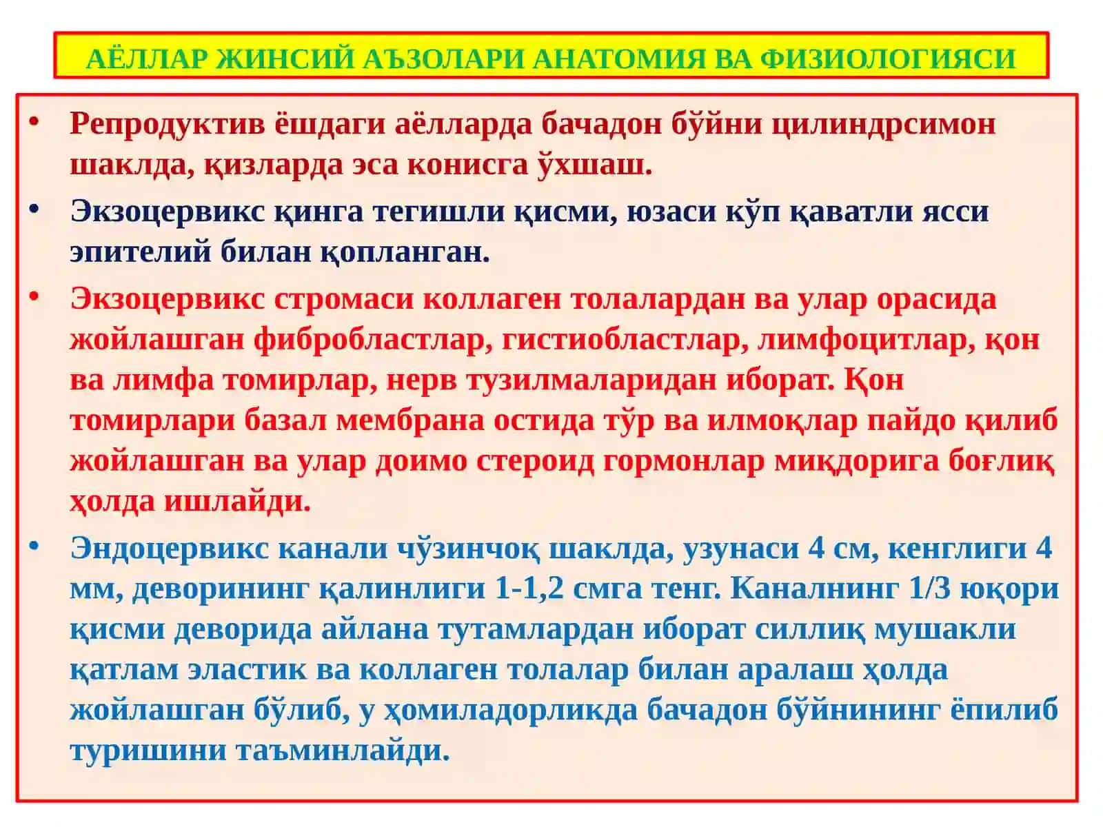 АЁЛЛАР ЖИНСИЙ АЪЗОЛАРИ АНАТОМИЯ ВА ФИЗИОЛОГИЯСИ 3