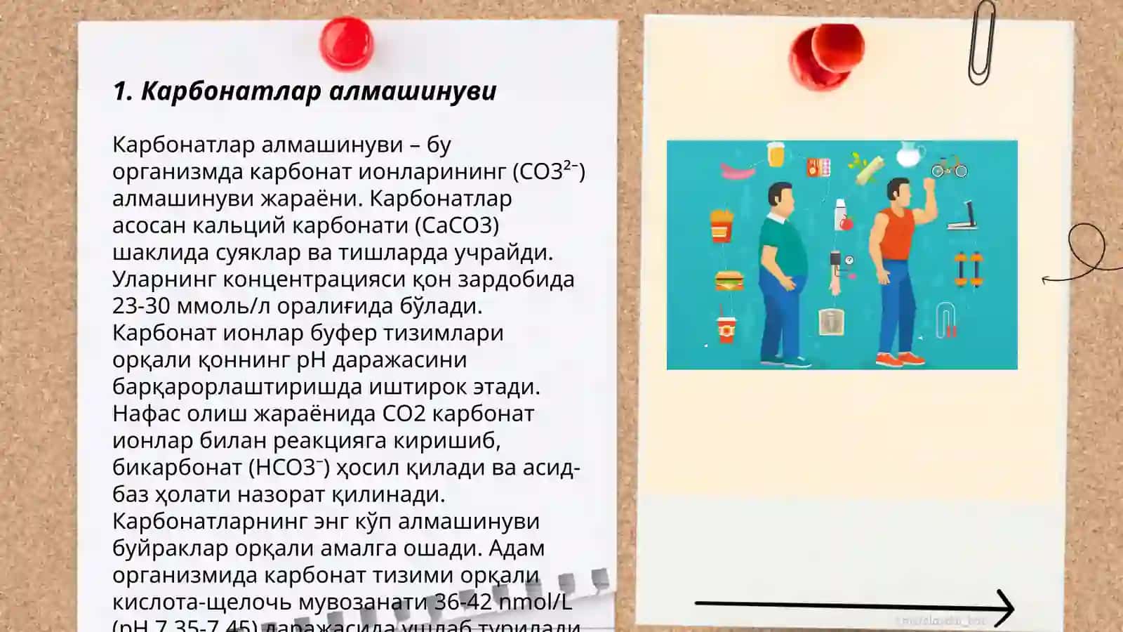 Карбонатлар алмашинуви 3