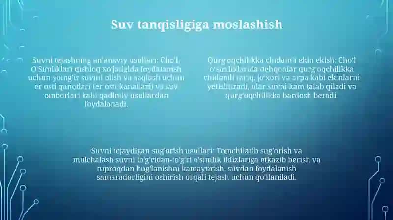 Cho‘L O‘Simliklari 3