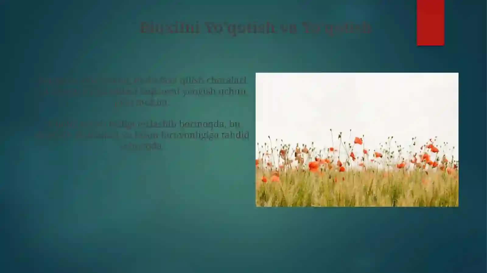 To'lqin Ta'siri: Ekosistemalar va Bioxilma-xillikka Ta'siri 3