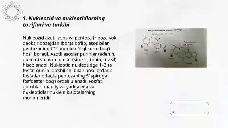 Nukleozidlar. Nukleotidlar. Nukleozidlarning mono- va polifosfatlari. Nukleozidsiklofosfatlar. Nuklein kislotalar tuzilishi. Nuklein kislotalarning birlamchi va fazoviy tuzilishlari 3