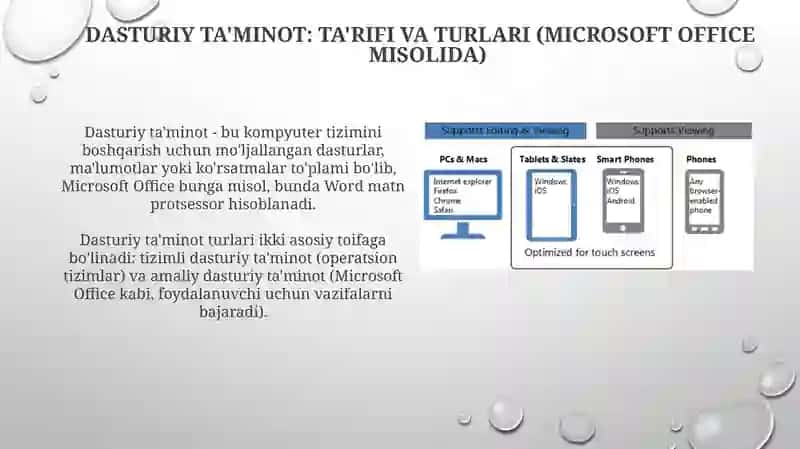Dasturiy ta'minot (Microsoft Office misolida) 3