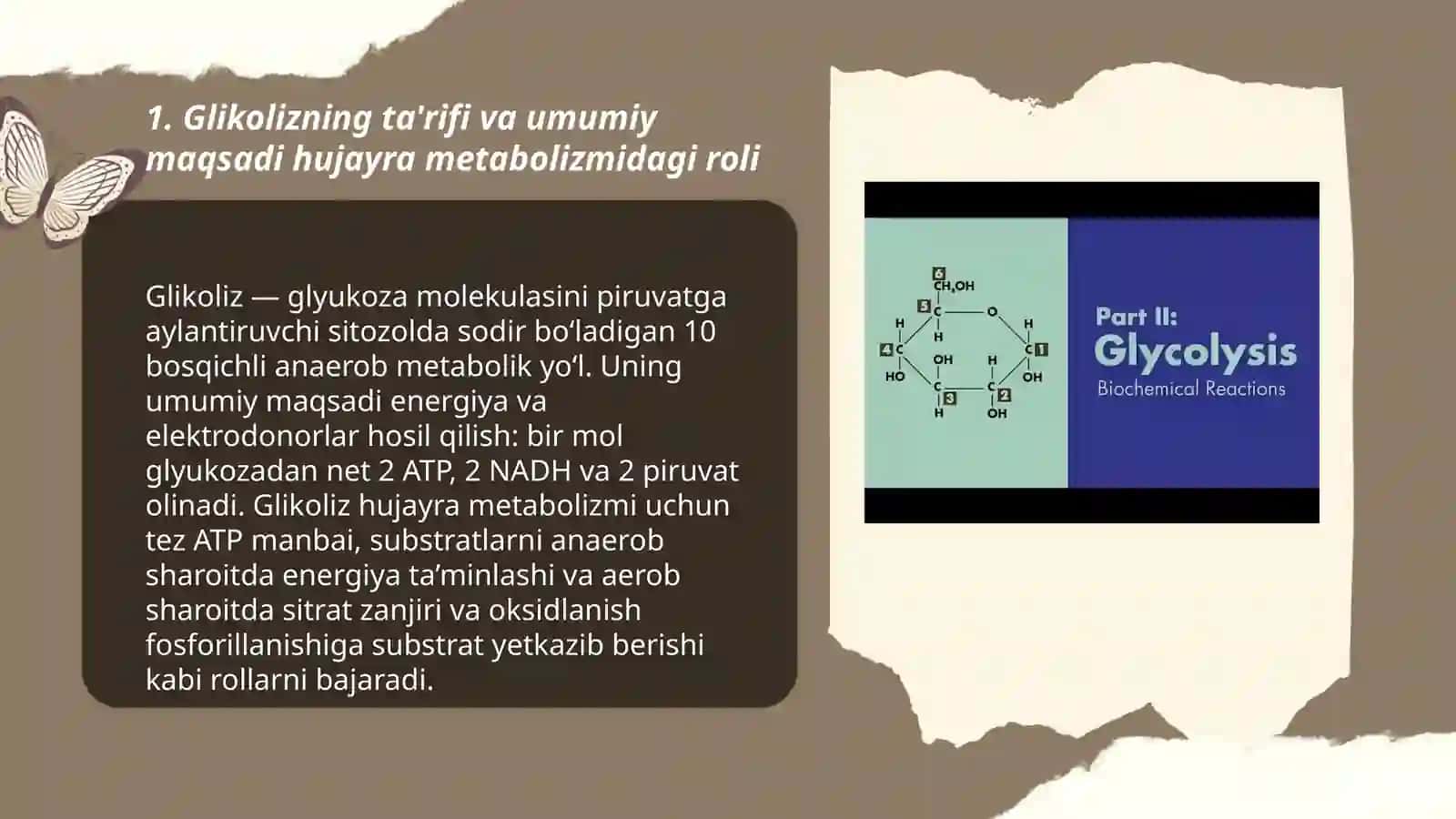 GLIKOLIZ VA UNING HUJAYRA METOBOLIZMDAGI ROLI 3