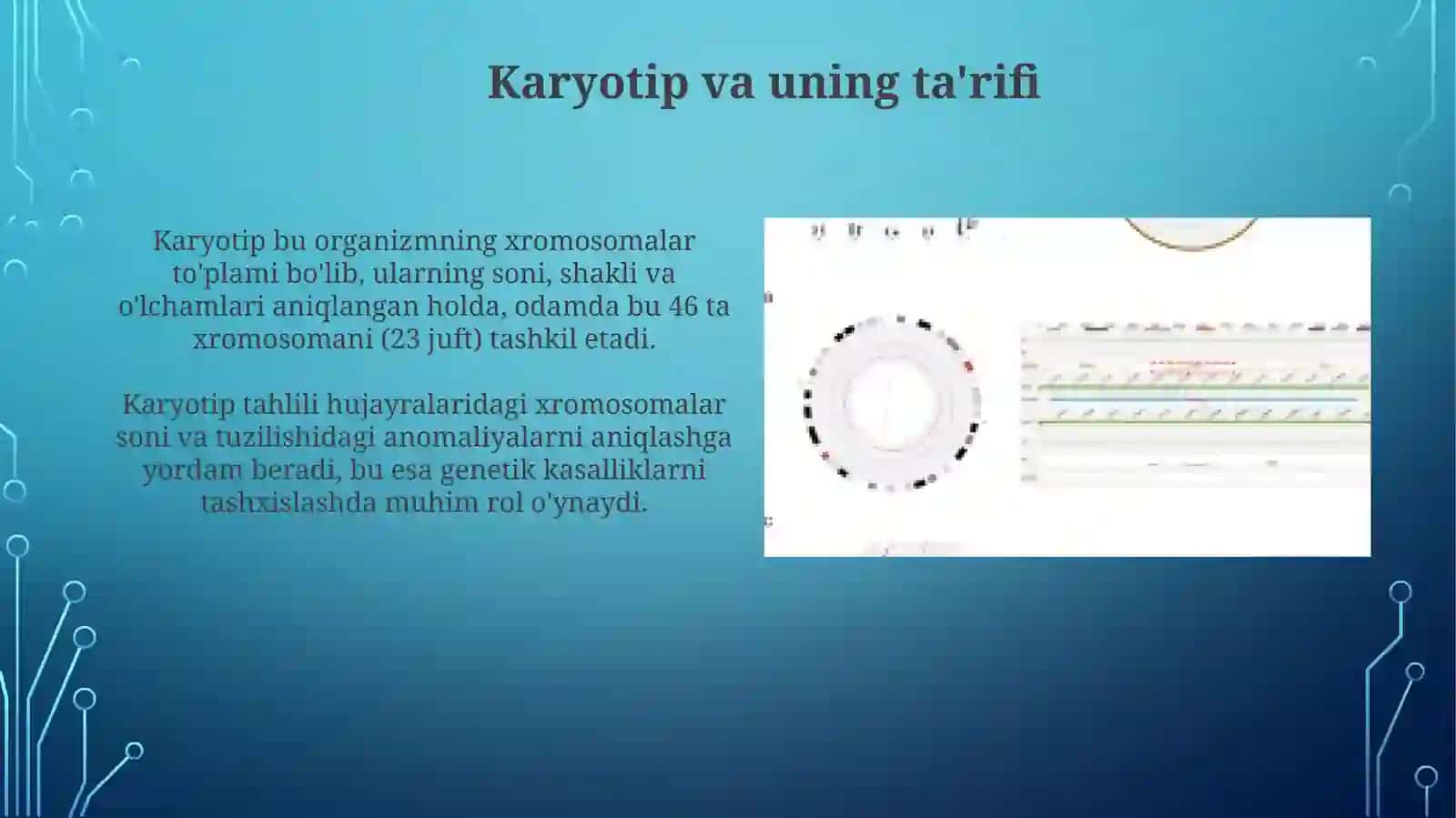 odam kariotipidagi xromosomalar va genom strukturasiga ko'ra ularning guruhlanishi 3
