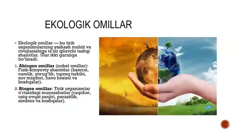 taqdimot 3