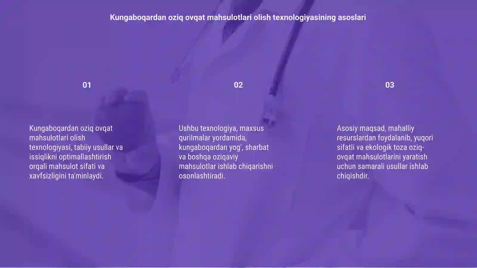 Kungaboqardan oziq ovqat mahsulotlari olish texnologiyasi 3