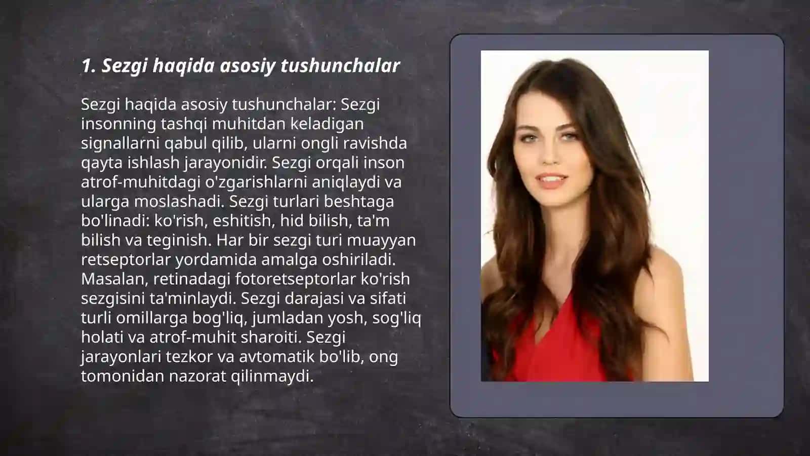 Sezgi 3