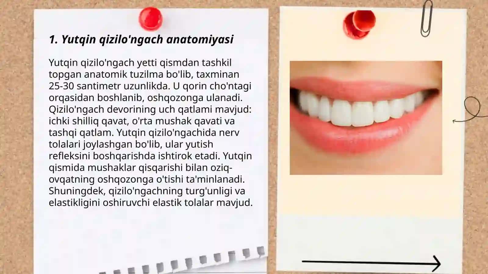 Yutqin qizilo'ngach anatomiyasi 3