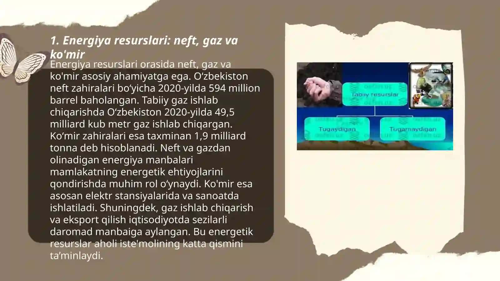Jahonning tabiiy resurslari 3