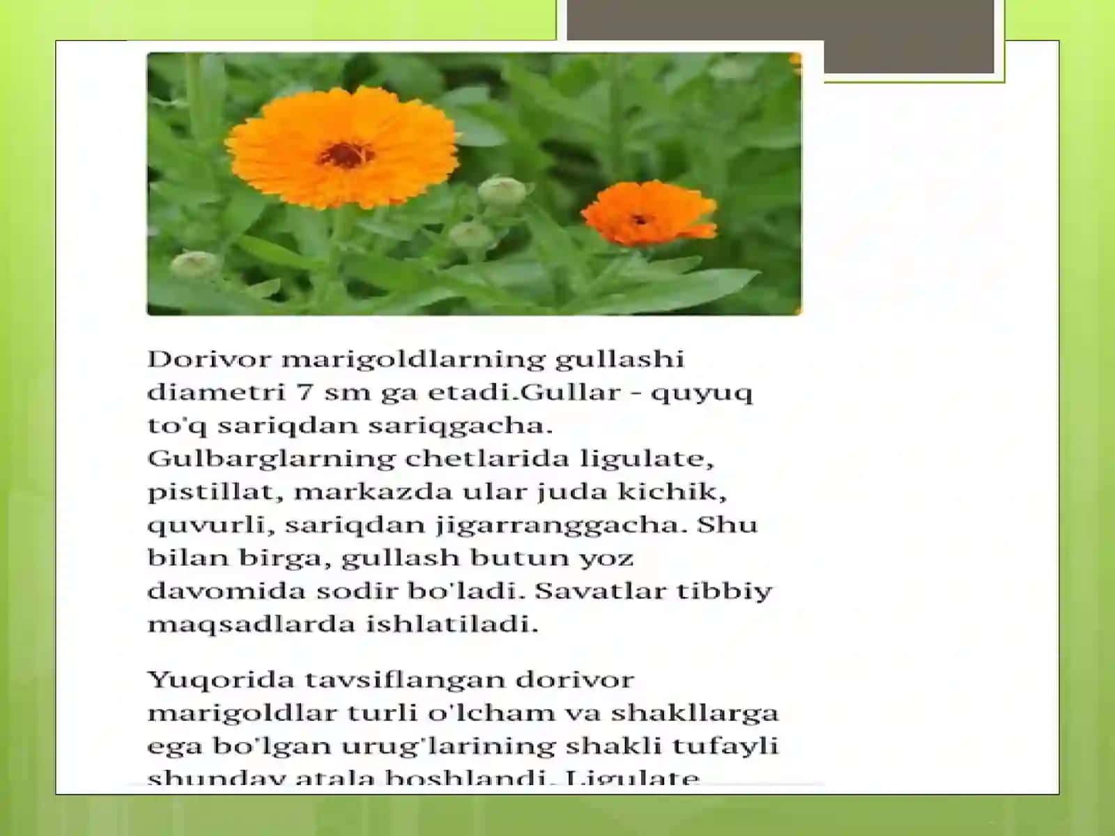Agrolagistika va biznes dorivor o’simliklarni yetishtirish va qayta ishlash yo’nalishi 308-gurux Eshilov Muborakning dorivor o’simliklarni urug’chiligi va ko’chatchiligi fanidan 3