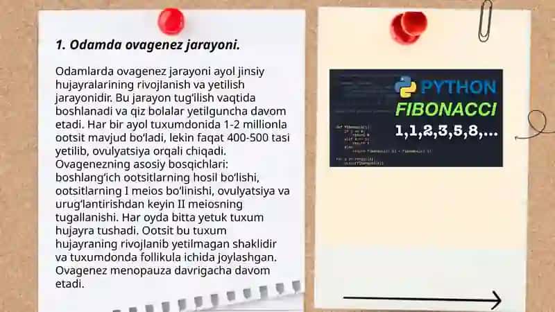 Odamda ovaganez va spermatozoyitning xususiyatlari.Atrof muhitning zararli omillari va ularing repraduktiv qobilyatiga tasiri. Odamda rivojlanishning kritik davrlari 3