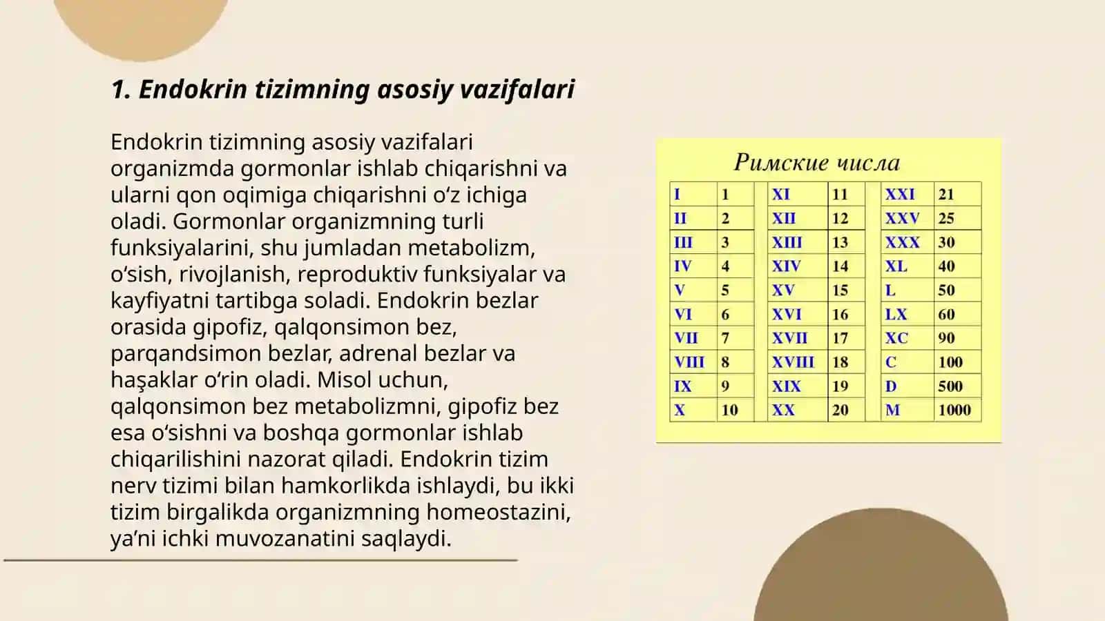 Endokrin Tizimning Asosiy Vazifalari 3