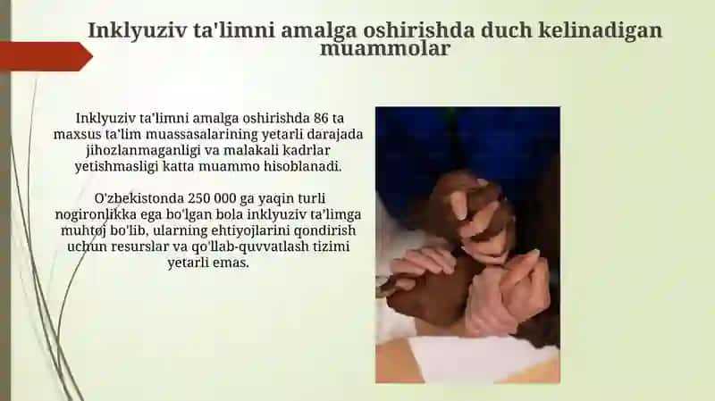 Inklyuziv ta'limni amalga oshirishda duch kelinadigan muammolar 3