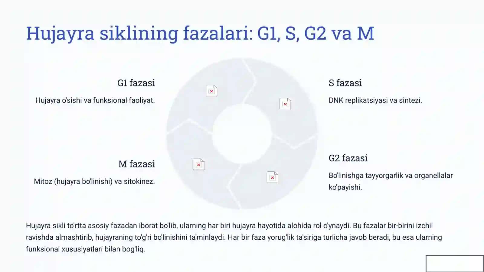 Hujayraning hayot sikli va uning turli fazalarida nurga sezgirlik 3