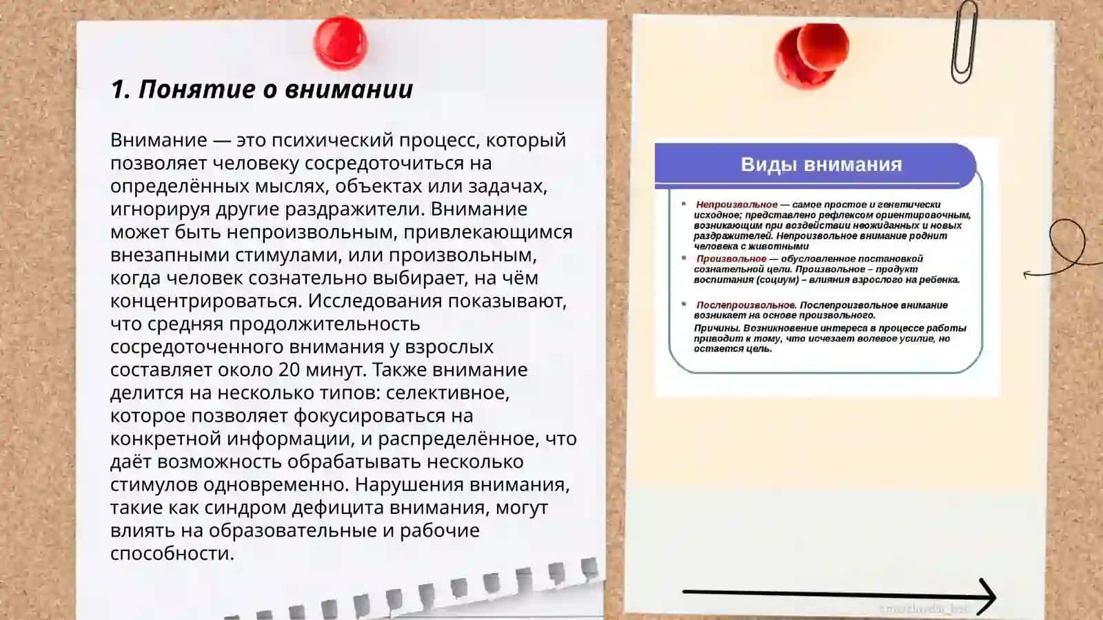Нервно физиологические основы внимания 3