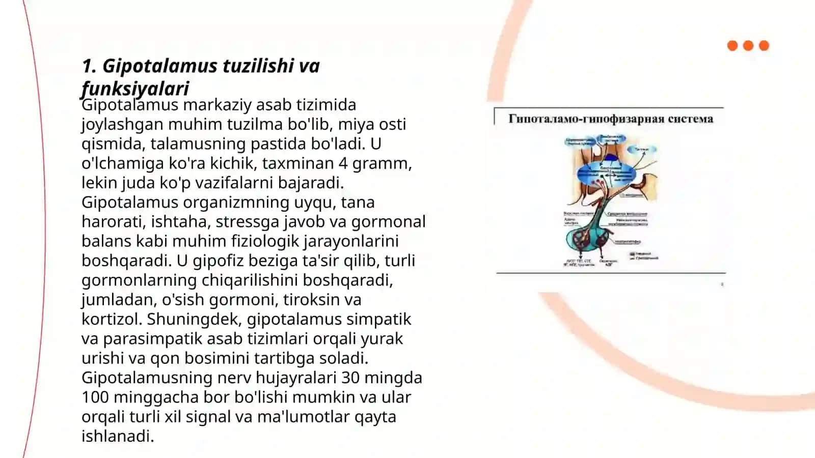 Organizmning gipotalamo-gipofizar boshqariluvi 3