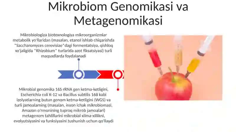 Mikroorganizmlar biotexnologiyasi 3