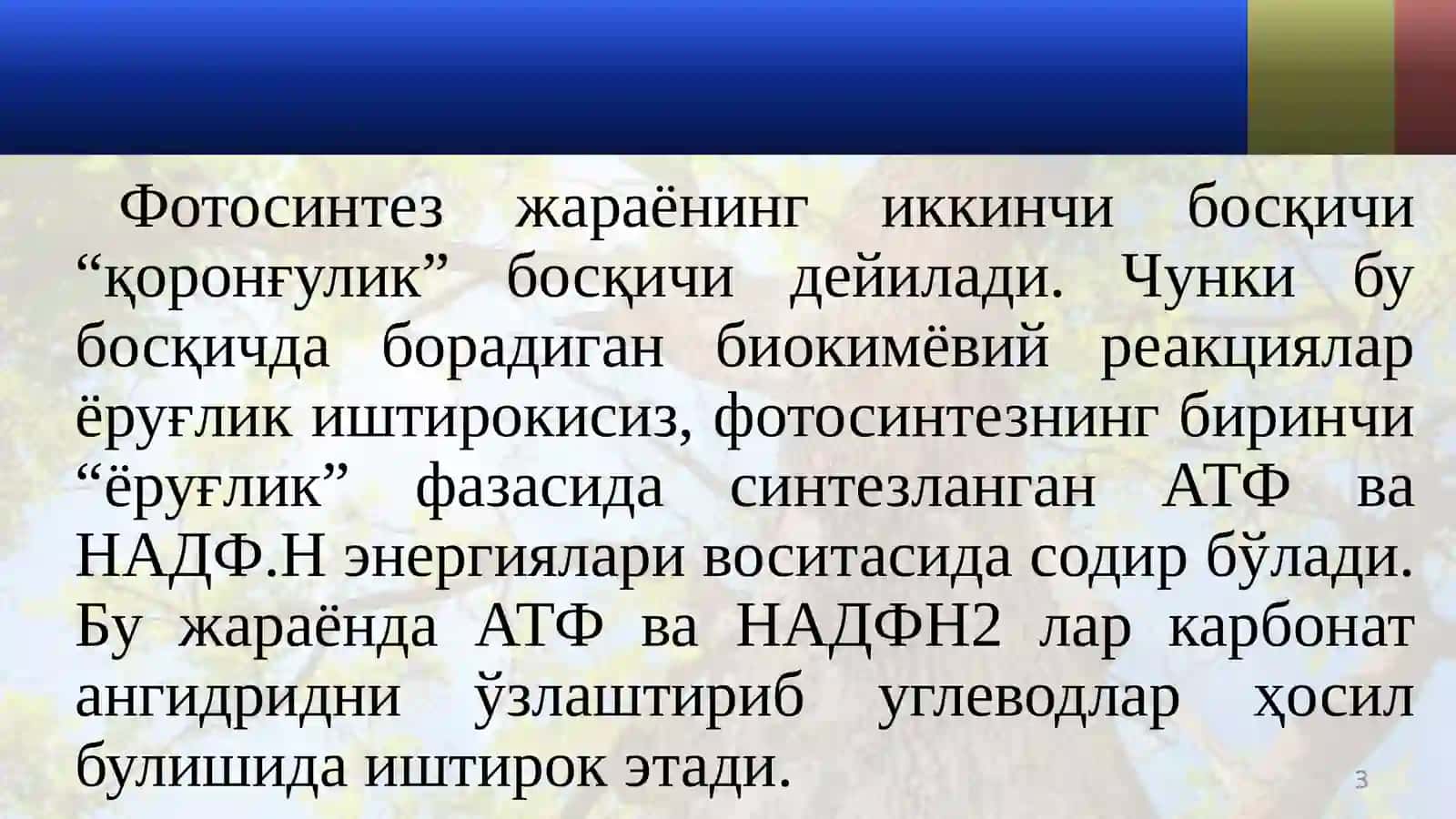 ФОТОСИНТЕЗДА УГЛЕРОД ЎЗЛАШТИРИЛИШИЙЎЛЛАРИ. УНГА ТАЬСИР ЭТУВЧИ ОМИЛЛАР 3
