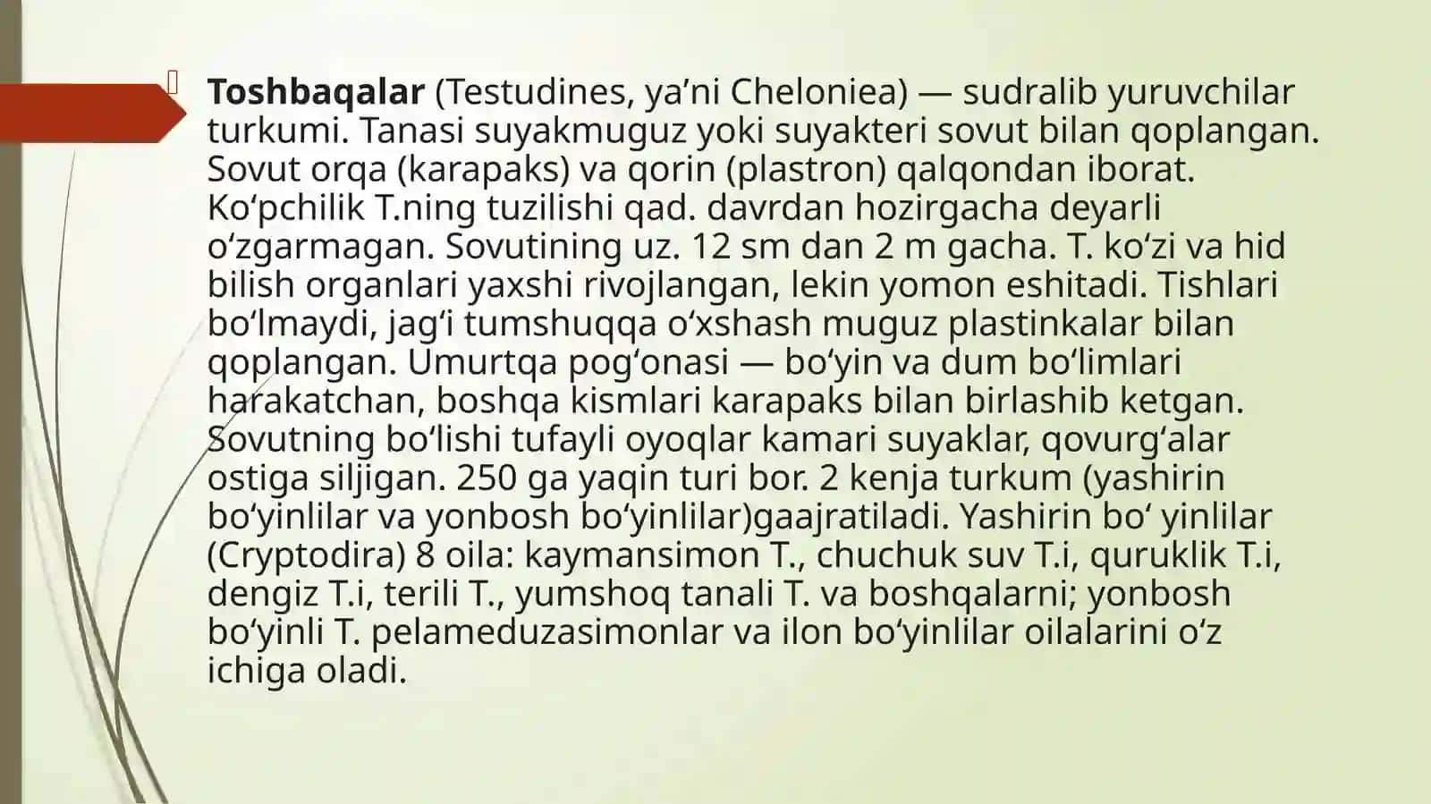 TOSHBAQALAR TUZULISHINING ASOSIY HUSUSSIYATLARI,TURLARI,TARQALISHI 3