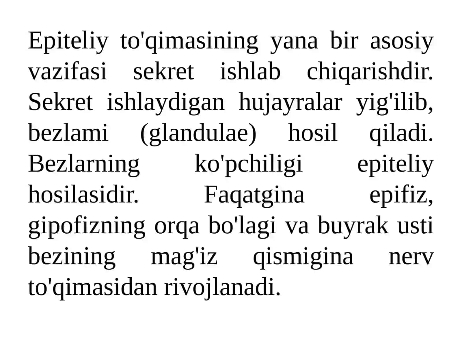 Bezli epiteliy 3