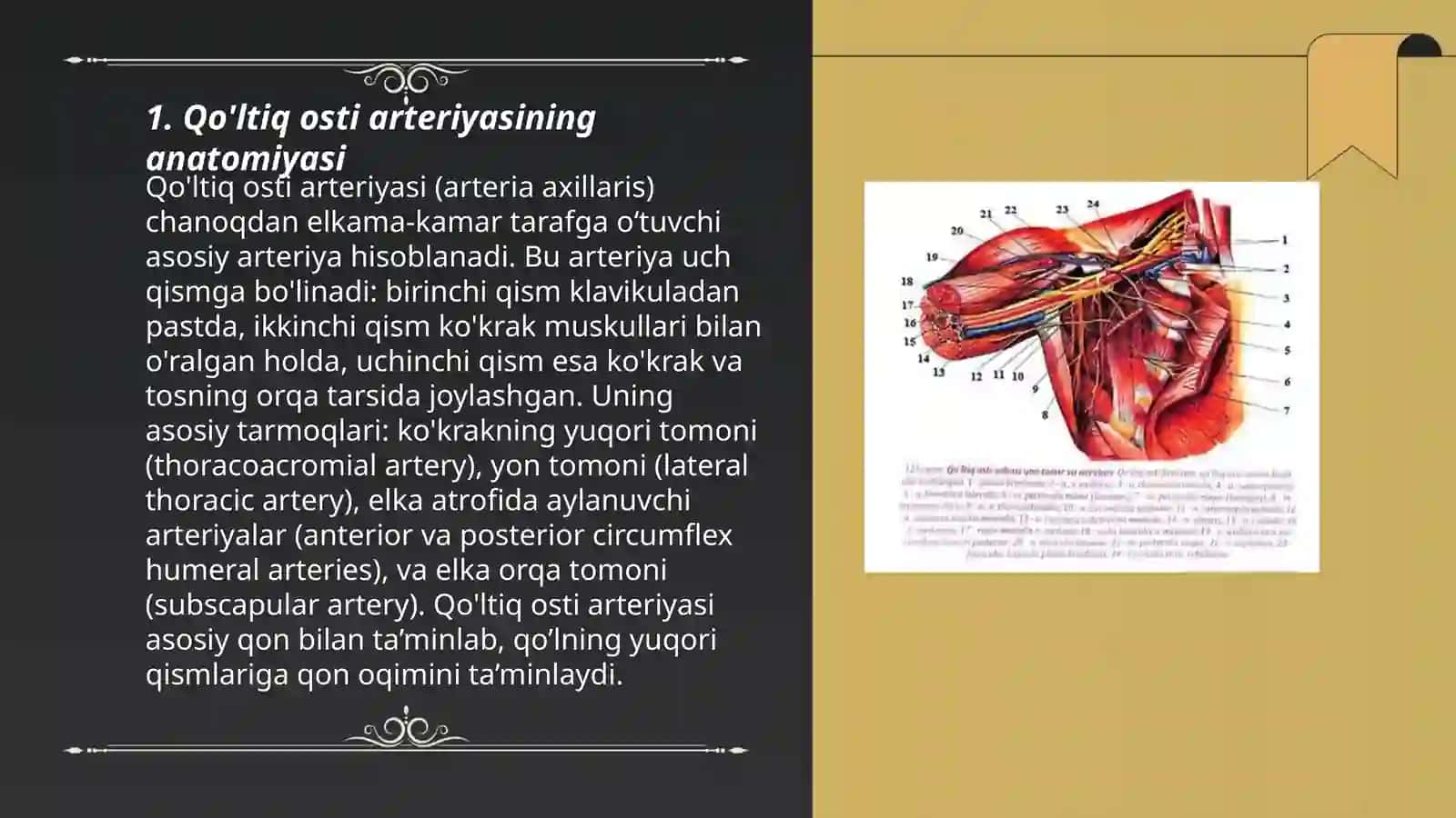Qo'ltiq osti arteriyasini ochish va bog'lash texnikasi 3