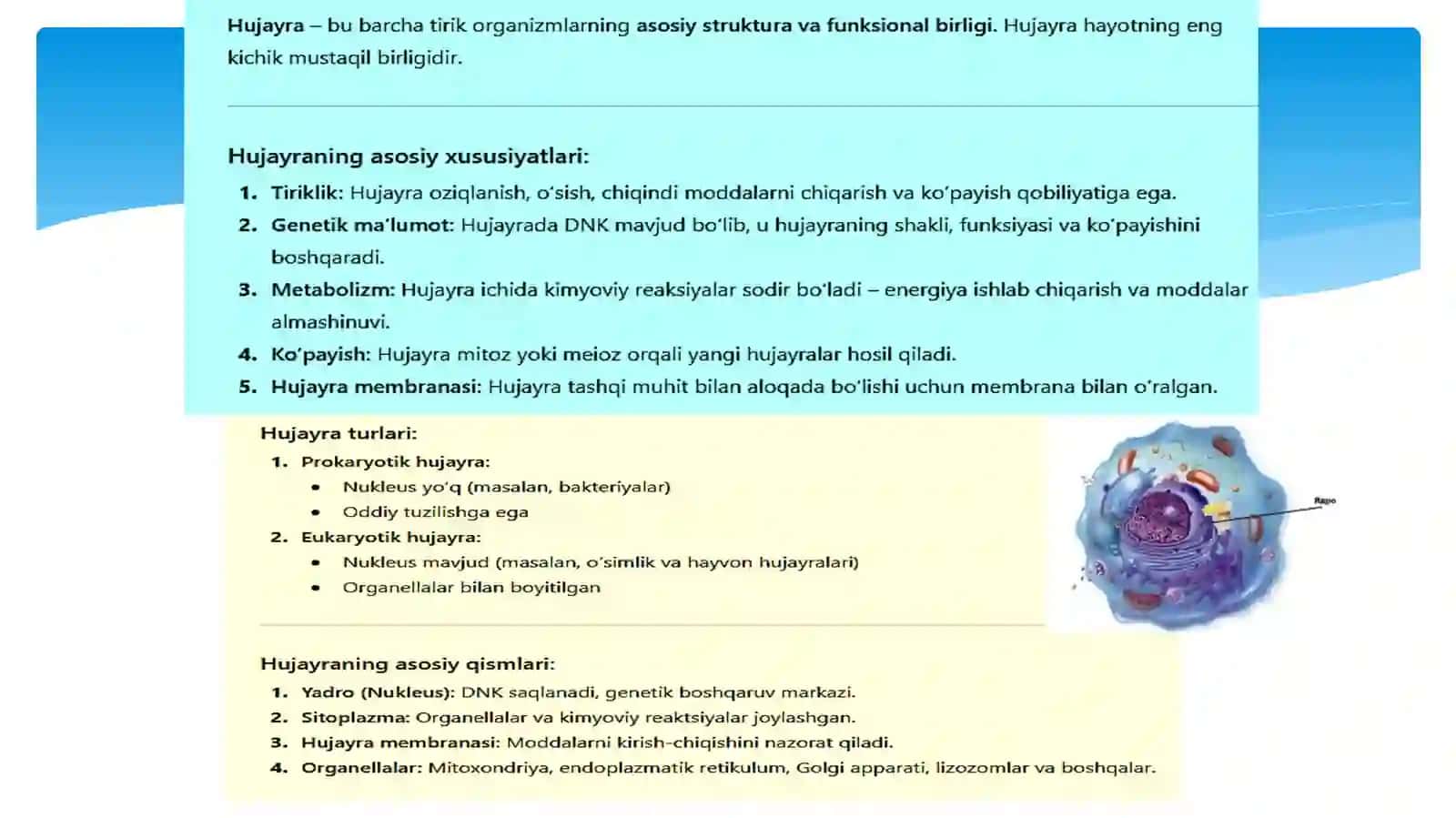 Safaraliyeva Mehriboning Tibbiy biologiyafanidan Hujayra ning meyotik bo‘linishi. Mitoz va meyozning patologiyasi. Meyozning biologikahamiyati 3