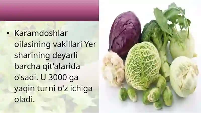KARAMDOSHLAR OILASI 3