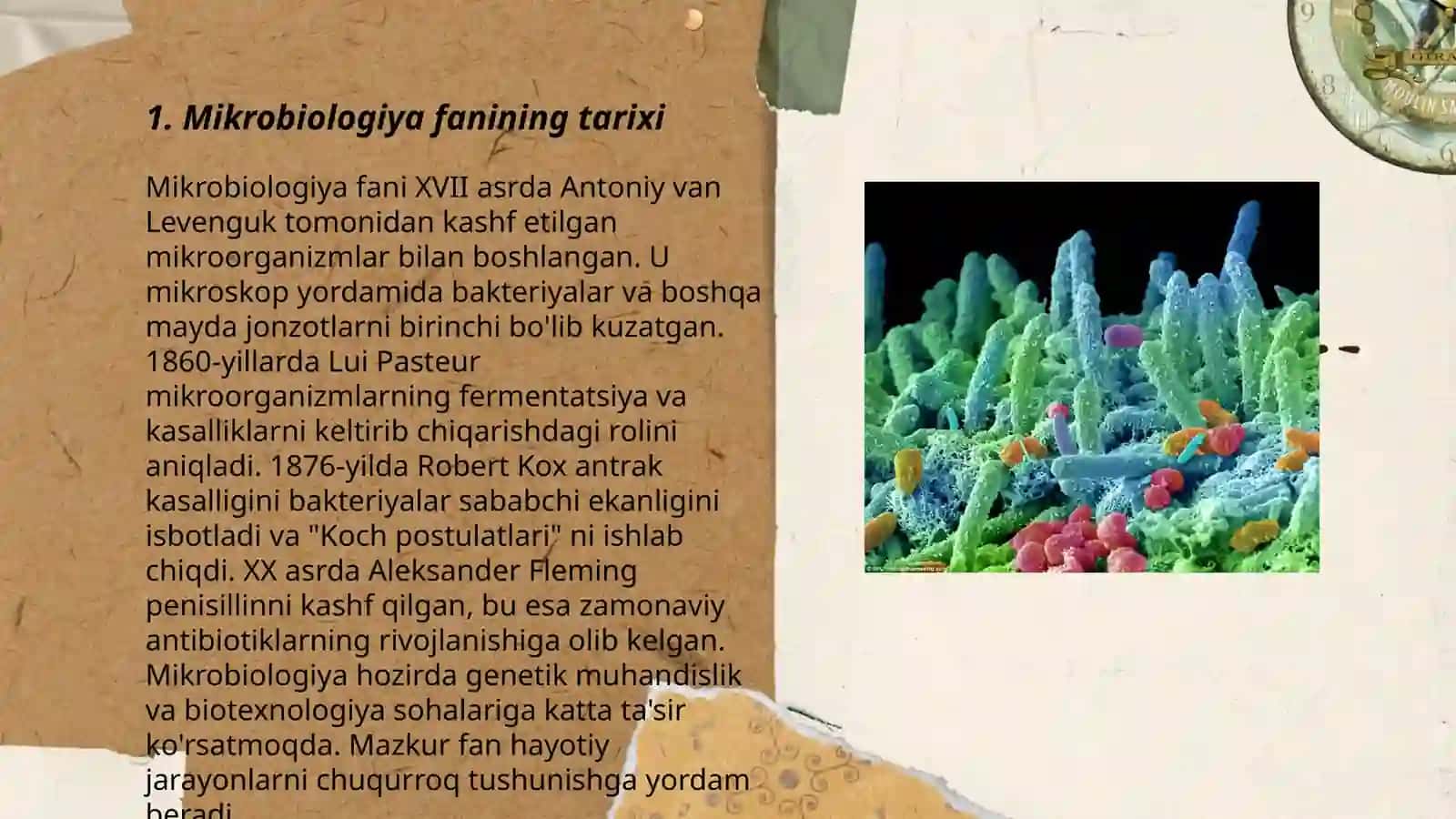 Mikroorganizmlar 3