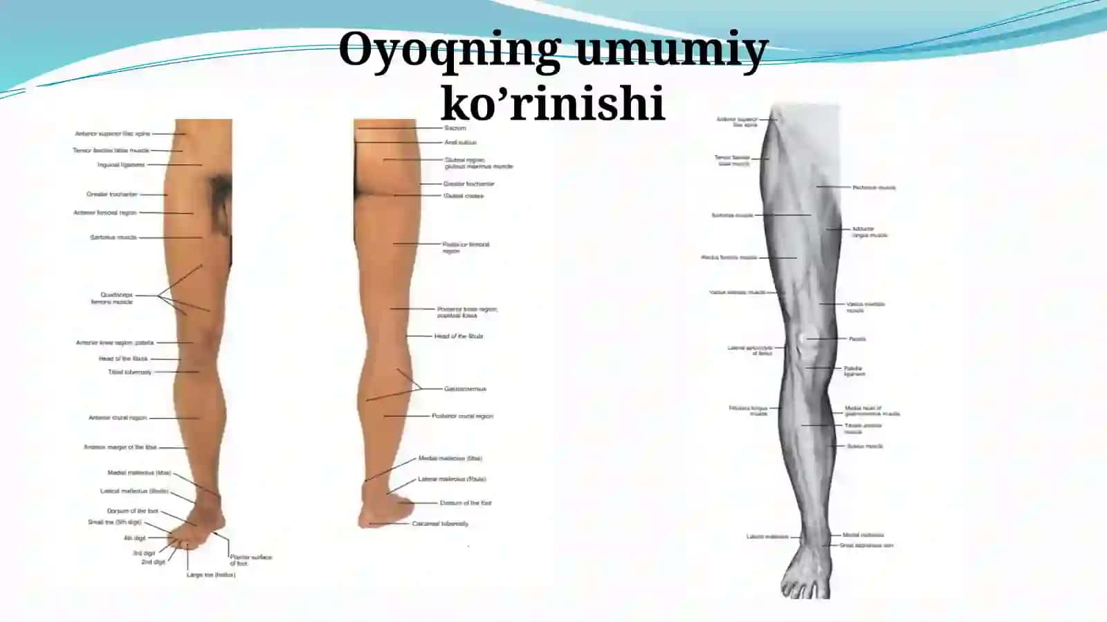So nsohasi 3