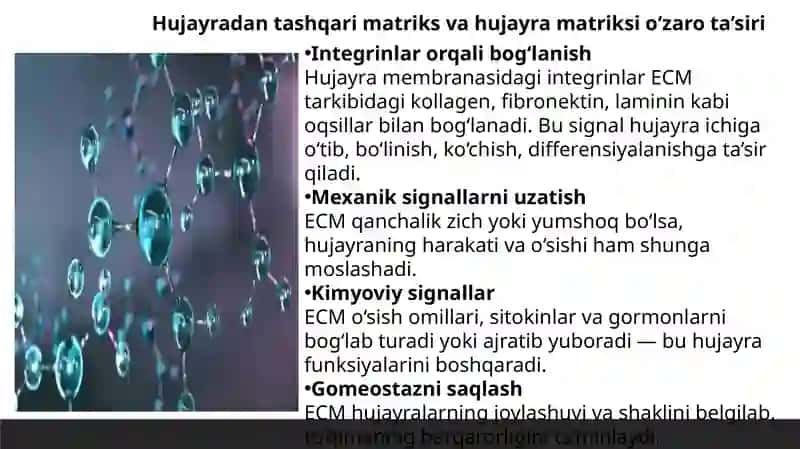Yallig’lanishni tizimli tasirlari 3
