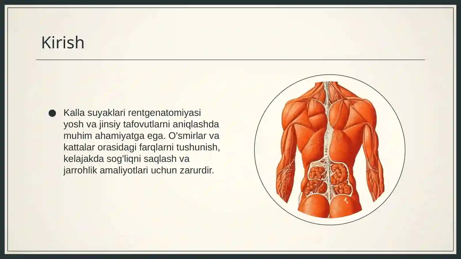 Kalla suyaklari rentgenatomiyasi 3