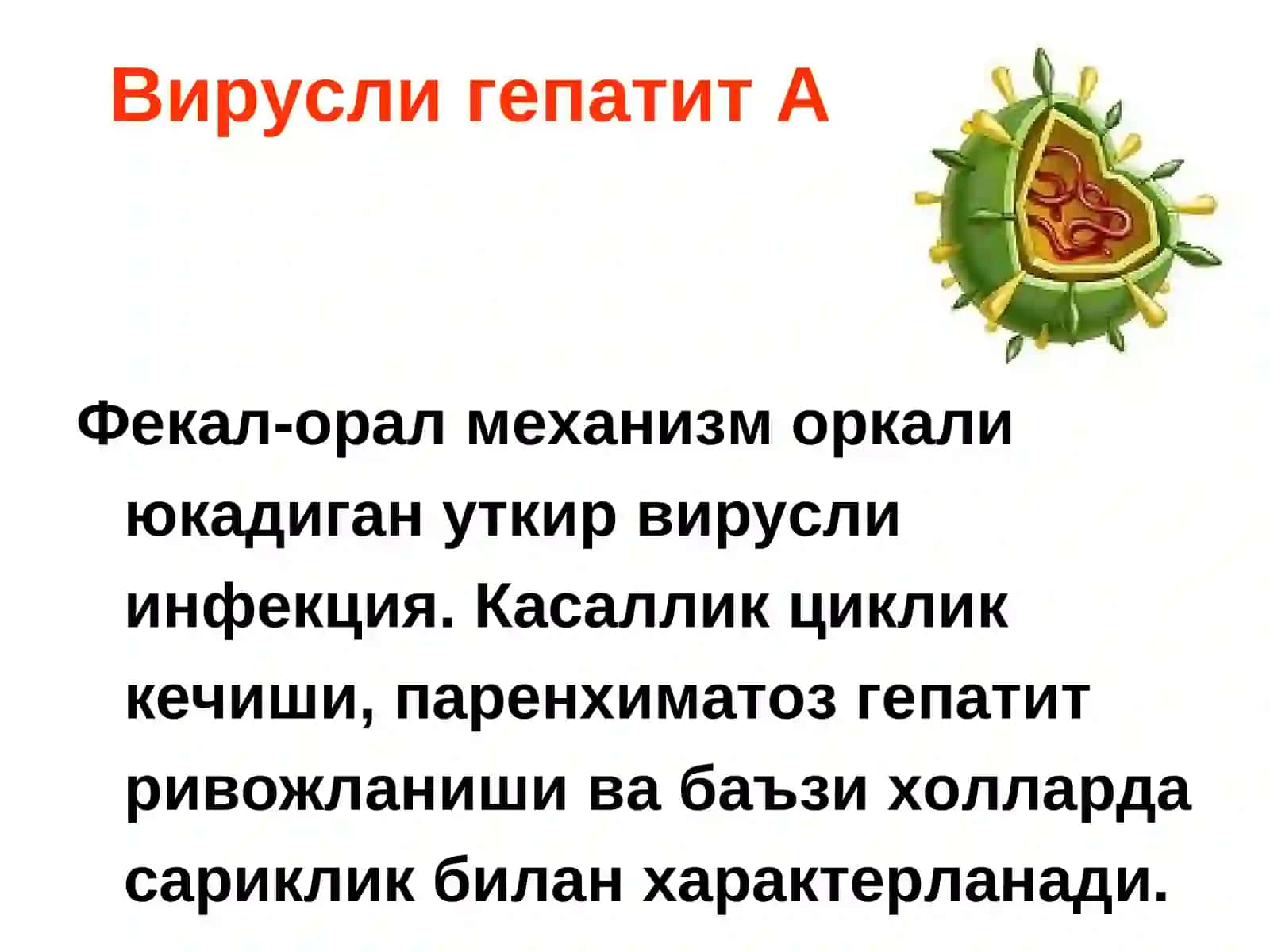 УТКИР ВИРУСЛИ ГЕПАТИТЛАР 3