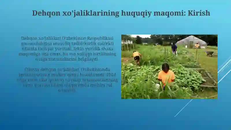 Dehqon xo'jaliklarining huquqiy holati 3